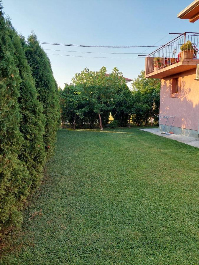 Green Oasis Kotor Exterior foto